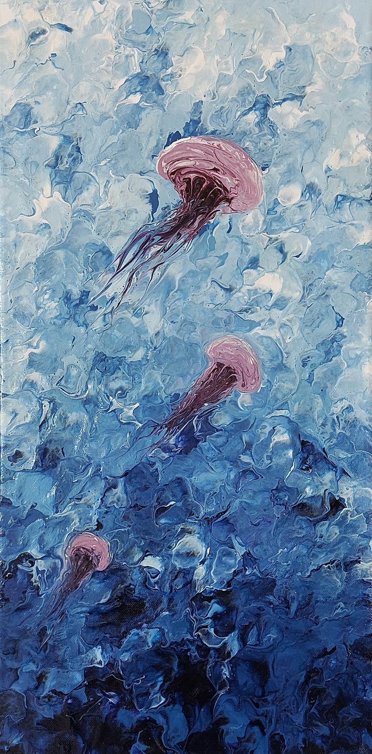 Three jellyfish emerge from the deep see